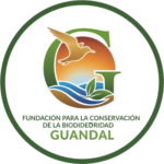 Avistamiento de Aves en Tumaco | Fundación Guandal & Ecosande
